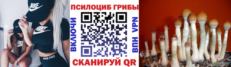 купить закладку  mega рабочий сайт  Галлюциногенные грибы Magic Shrooms  Гаврилов Посад 